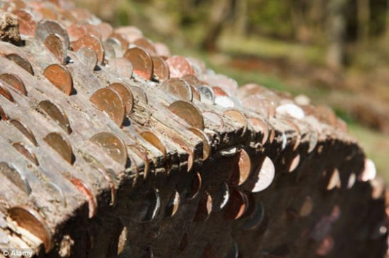 当地居民调查发现，古人认为将硬币砸进树干可消灾转运，所以诞生了一棵棵“摇钱树”。