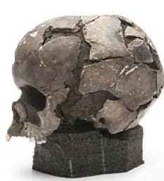 这个遗骸是1907年在斯塔万格附近Vistehola洞穴中发现的，是保留下来的骨骼最为完整的挪威石器时代人