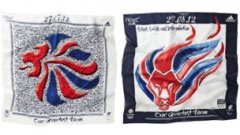 伦敦奥运和残奥拉拉队亮围巾（图）