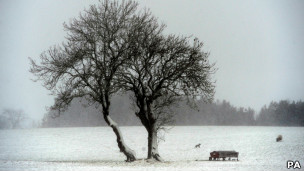 northumberland