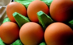 欧洲“毒鸡蛋”风波扩大 70万已流入英国超市