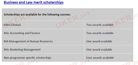 德蒙福特大学发布商务法律学院硕士奖学金申请要求