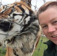 英国动物园女管理员清理老虎尿渍，被老虎突袭