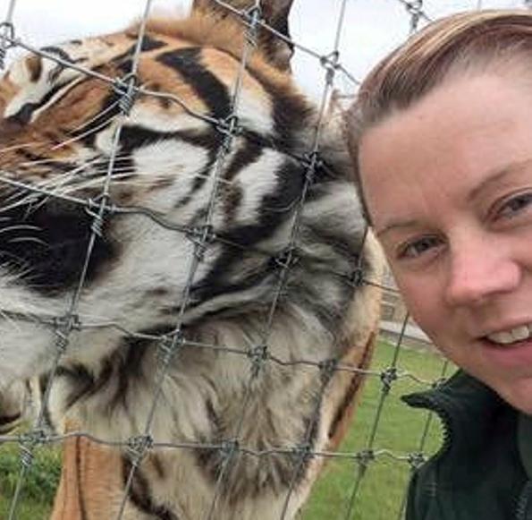 英国动物园女管理员清理老虎尿渍，被老虎突袭多处受伤当场惨死