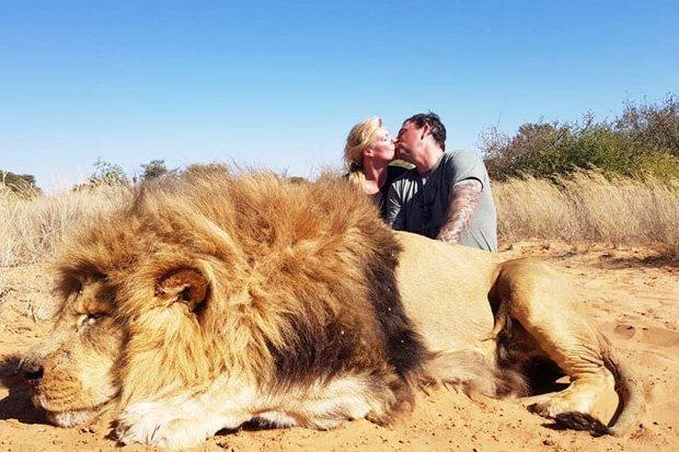 英国夫妇自称是环保者，却猎杀狮子在狮尸旁激吻拍照留念引炮轰