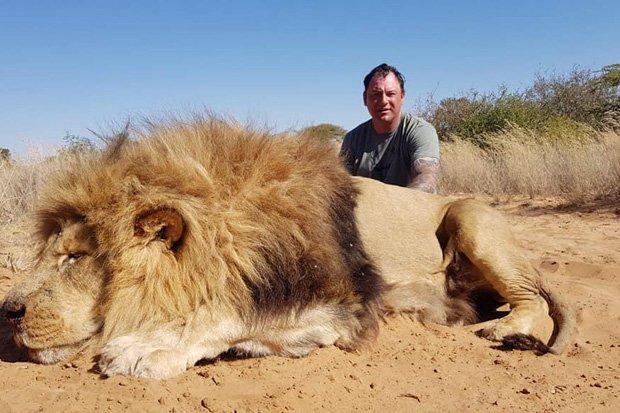 英国夫妇自称是环保者，却猎杀狮子在狮尸旁激吻拍照留念引炮轰