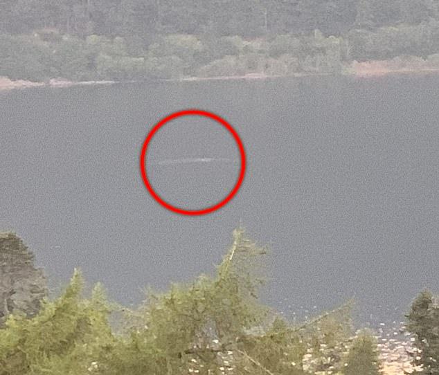 尼斯湖水怪今年第12次被拍到，网友吐槽：拍水怪像素倒退几十年？