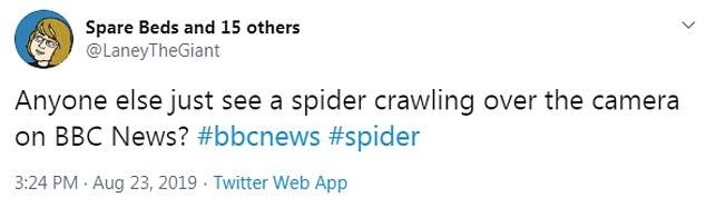 “巨型蜘蛛”惊现BBC采访背景板，网友抓狂，称嘉宾“被袭击”