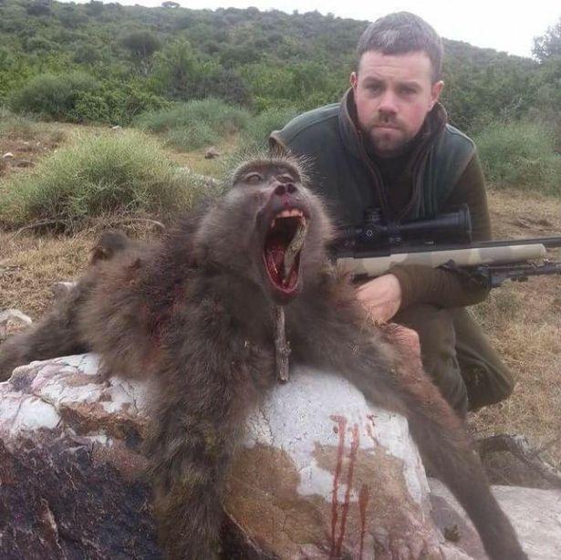 英国游客涌入南非杀猴子取乐，幼童微笑持枪与猎物死尸合影留念