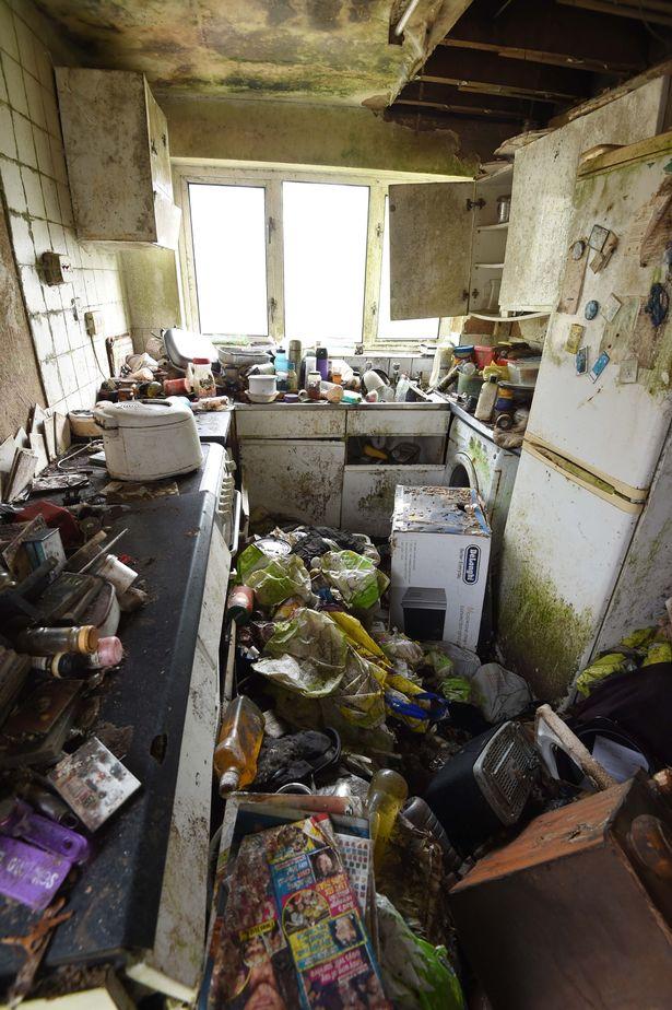 英囤积者家中垃圾腐烂物堆成山，苍蝇老鼠成群，隔壁夫妇门窗紧闭