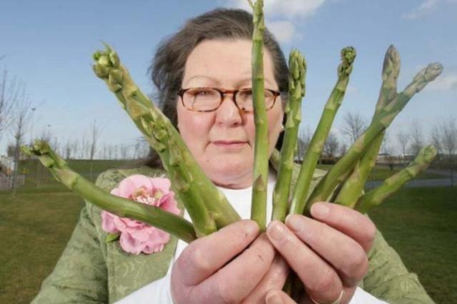 英国芦笋算命师称早已预见哈利梅根退出皇室，曾预测特朗普将连任