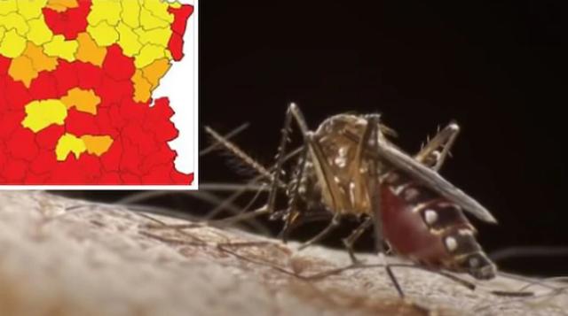 亚洲虎蚊肆虐欧洲：带着潜在致命病毒虐完法国西班牙，又来虐英国
