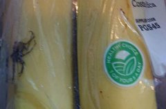 英国男子买回香蕉，竟在包装袋里发现世界第一