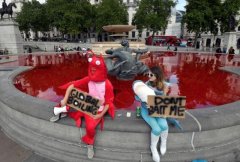 素食者们把伦敦喷泉染成一滩“鲜血”，炮轰政