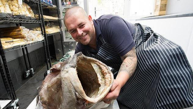 英国鱼贩喜获巨型比目鱼，80岁重268斤，果断切成小块变美味