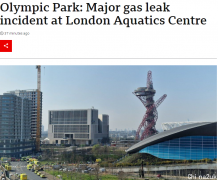 伦敦奥运公园产生严重变乱，29人出院