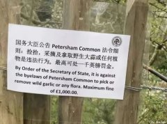 两华人男子公园采摘野菜被警察带走，事件正变得愈来愈繁杂！