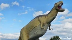 6600万年前虎魄藏有恐龙灭绝谜底！专家超震惊