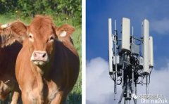 法国自愿封闭4G信号塔，由于农户感觉信号塔害死了自家奶牛？！