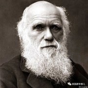有人想改写达尔文的进化论?! 为此，学术界掀起了一场隐蔽的大战…
