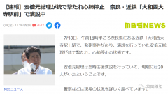 日本前首相安倍晋三遭枪击身亡！凶手：恨到想杀了他