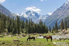 英国游客在天山遭受雪崩，镜头直拍雪崩扑面而来的一幕，太惊险！