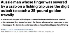 老哥钓鱼时被螃蟹夹断手指，用断指当“鱼饵“又钓上一条大鱼???