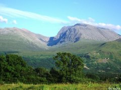 英国70斤大狗子登山，在山顶坚定不想再走，一全部营救队出动了