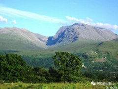 70斤大狗子跟铲屎官登山，在山顶坚定不想再走…一全部营救队出动了！