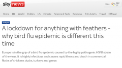 英国发作史上最重大禽流感！
