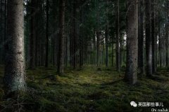 网友分享对于森林的可怕传说，几乎就是完善的恐惧片场景啊！