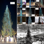 挪威送来的圣诞树上岗，今晚点亮特拉法加广场！网友吐槽：像二手