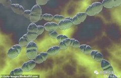 英国链球菌A盛行！9名儿童死亡，青霉素断货！重症患者截掉四肢加毁容…全英壁垒森严…