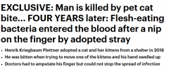 女子被猫咬伤感染，截掉手指仍难逃一死，四年后不治身亡